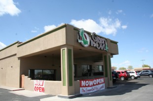 Green-Owl-Biz-Topic